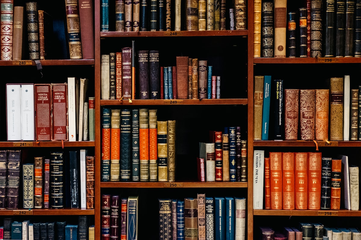Antique leather-bound volumes on dark wooden shelves